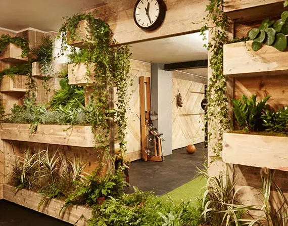A room with lots of plants and a clock on the wall.