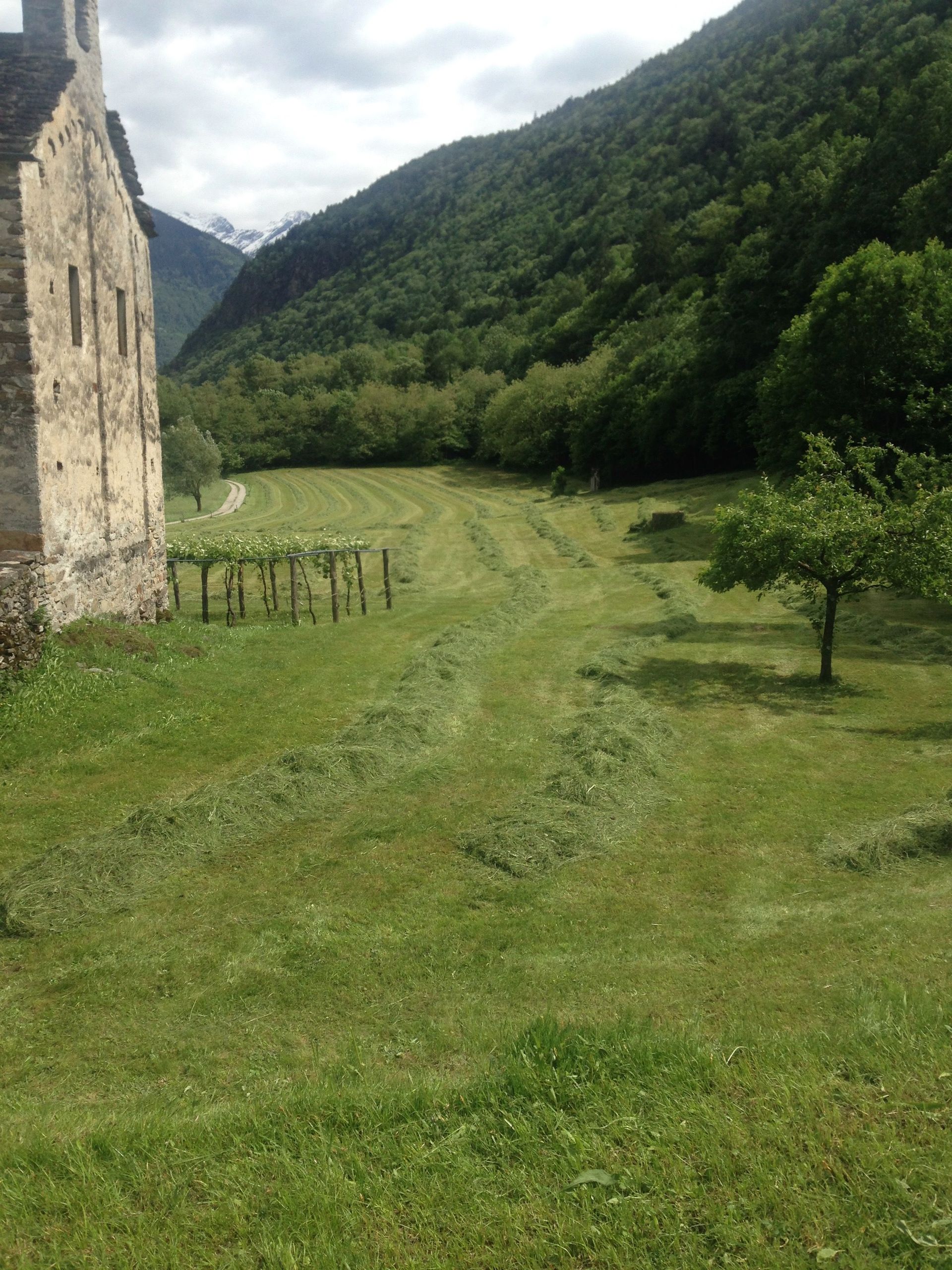 taglio del fieno - Arcioni Luigi - Corzoneso - Blenio - Ticino