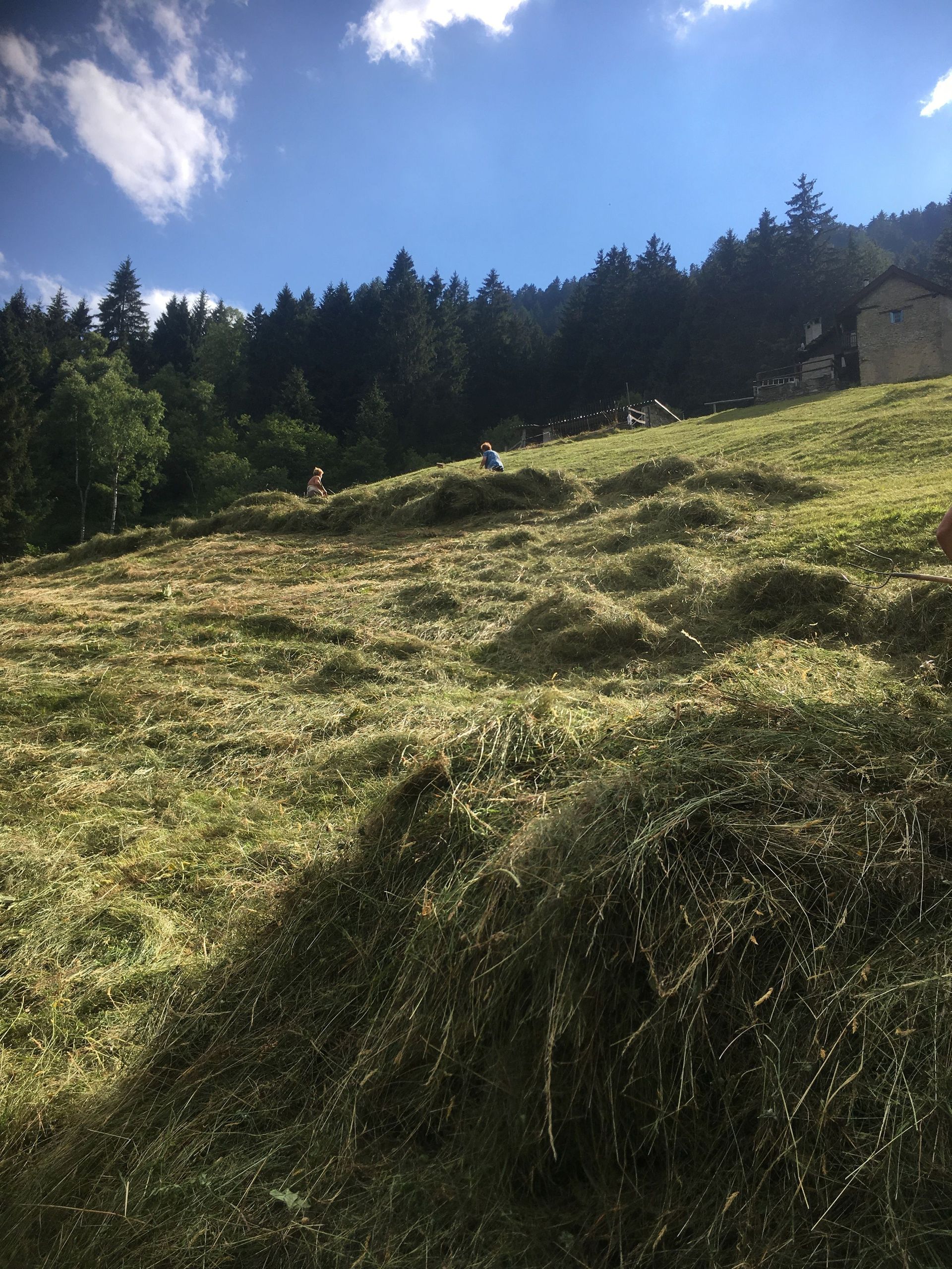 fieno - Arcioni Luigi - Corzoneso - Blenio - Ticino