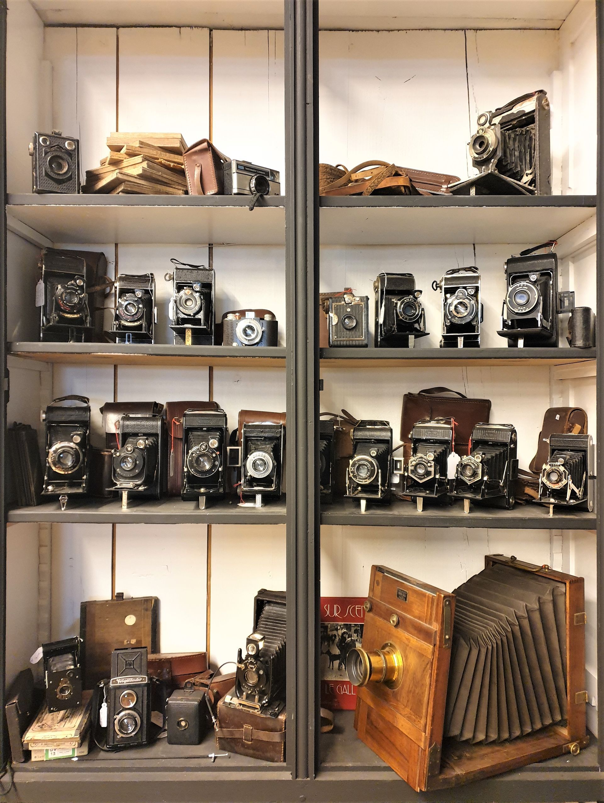 Etagère d'antiquaire présentant 4 étage remplis d'appareils photo anciens