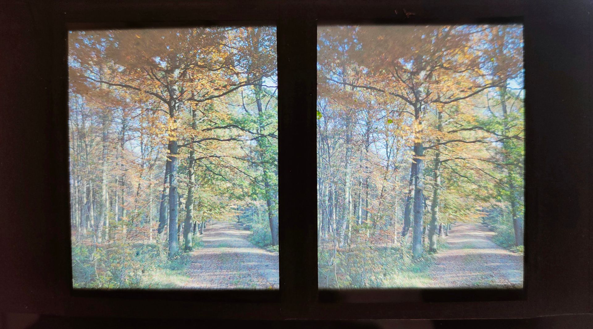 Diptyque de photographies présentant un chemin en forêt bordé d'arbres