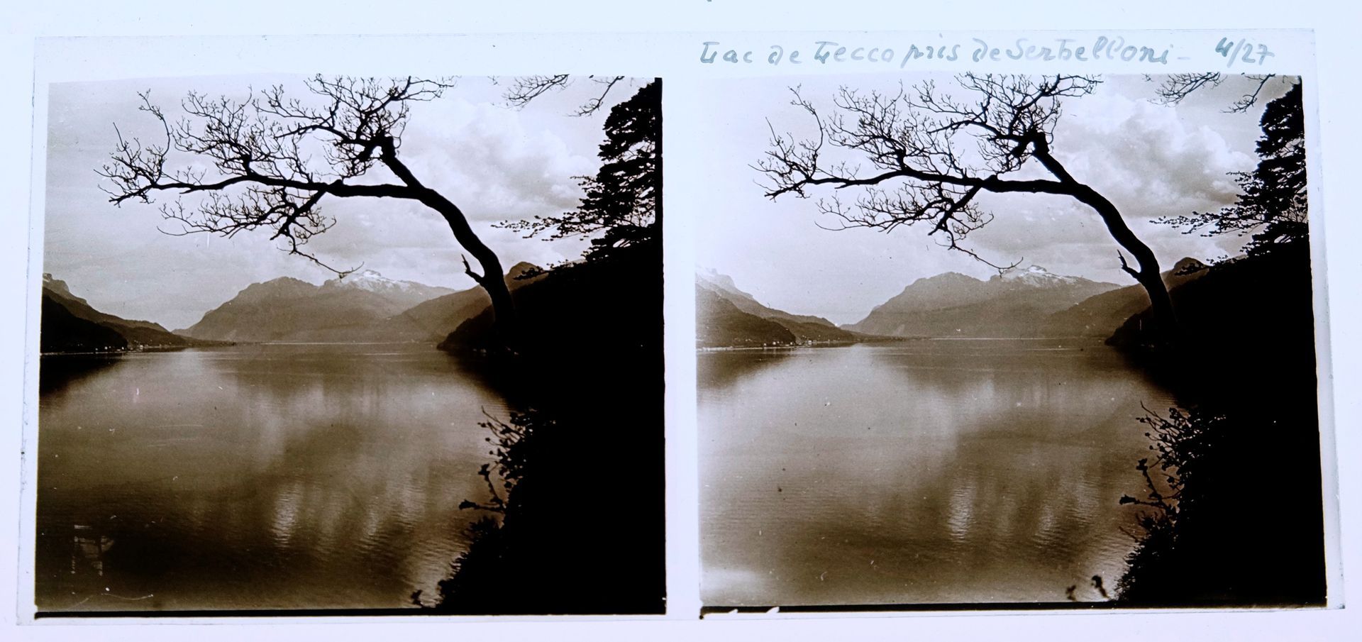 Diptyque de photo en noir et blanc présentant une étendue d'eau avec un arbre sans feuille penché au dessus