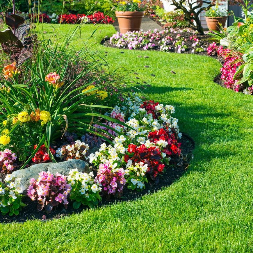 Jardin avec des fleurs