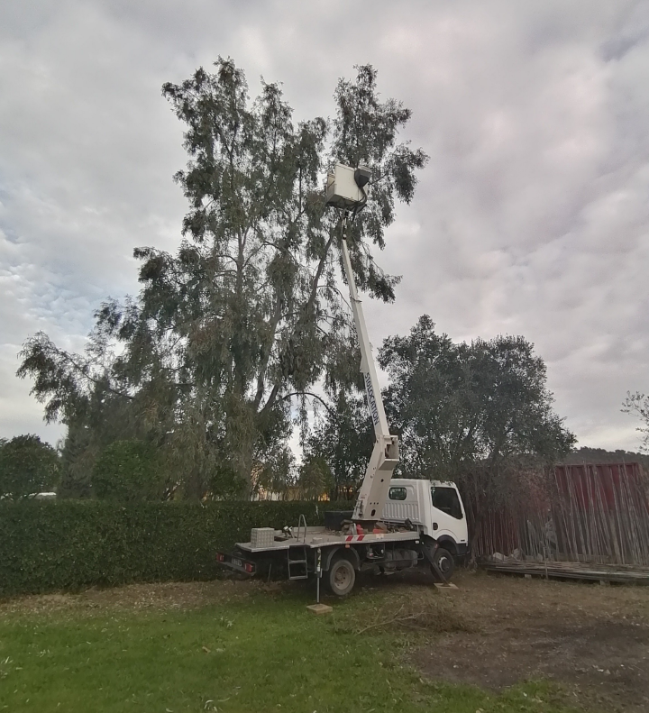 Nacelle pour élagage