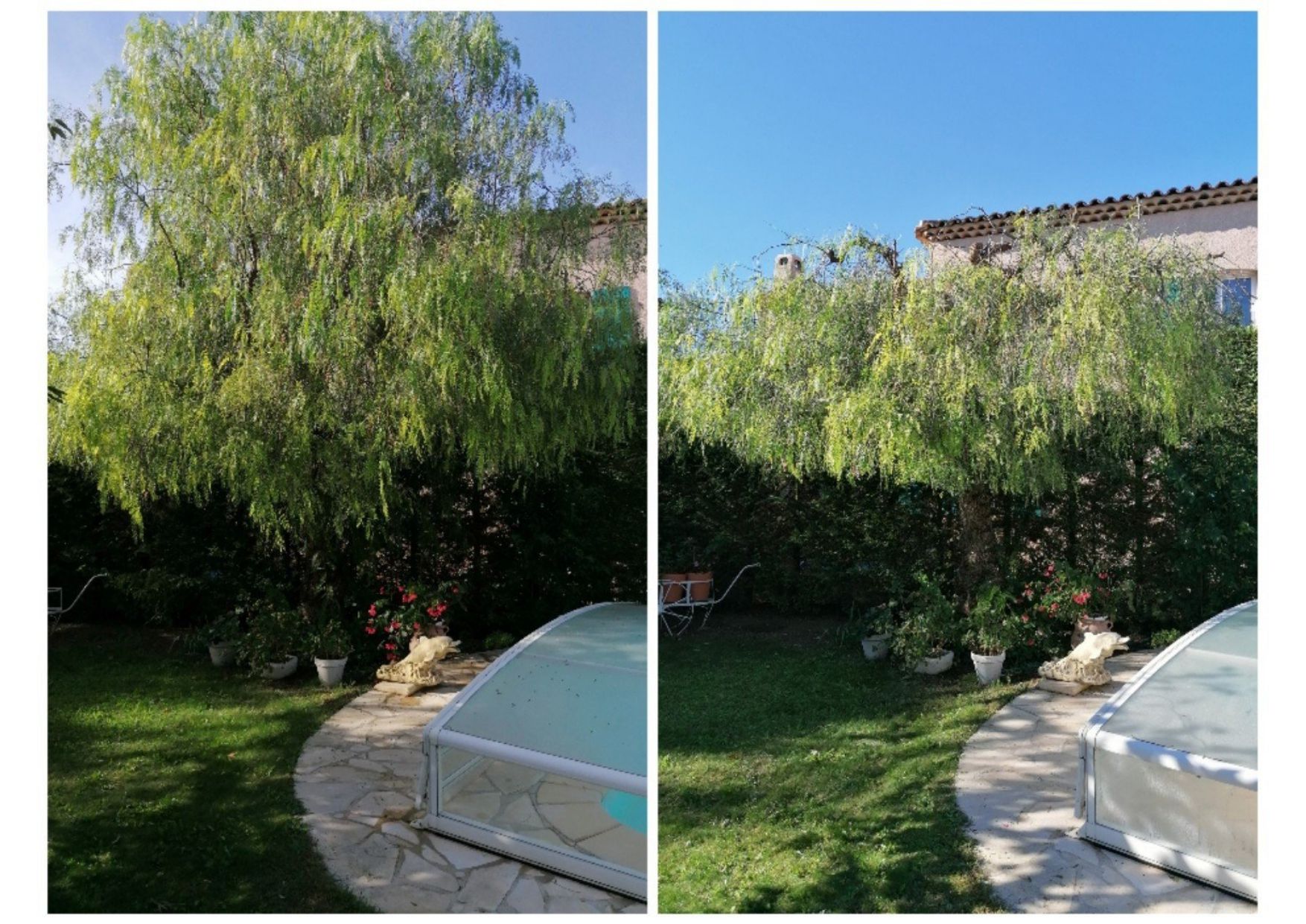 Travaux d'élagege : Avant et après