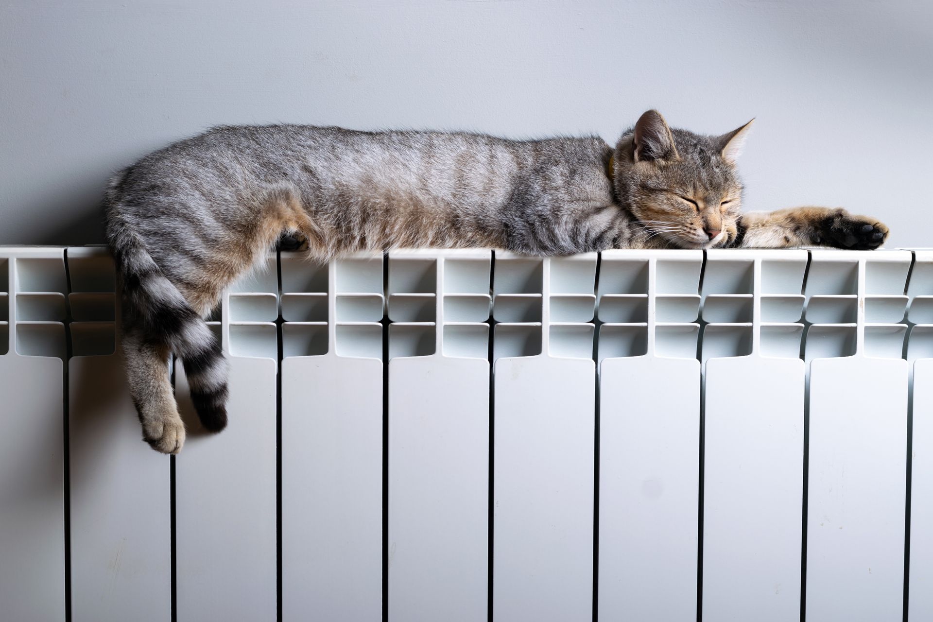 Chat tigré allongé sur un radiateur, les pattes pendantes dans le vide.
