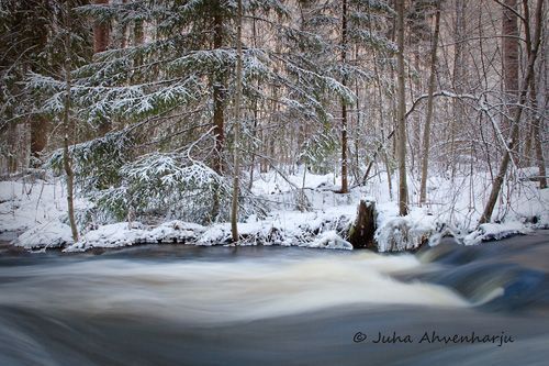 Juha Ahvenharju Photography