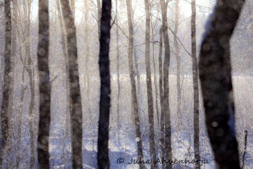 Juha Ahvenharju Photography