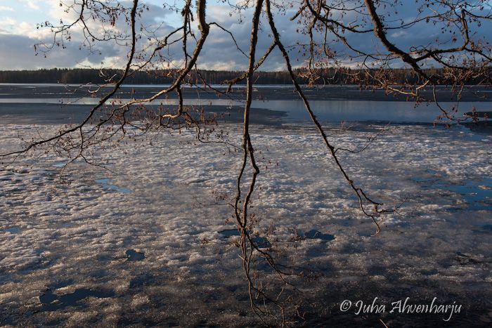 Juha Ahvenharju Photography