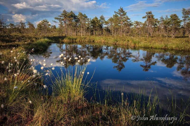 Juha Ahvenharju Photography