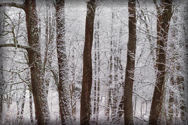 Juha Ahvenharju Photography