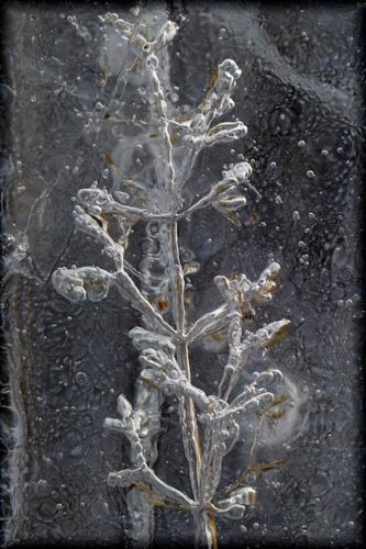 Juha Ahvenharju Photography