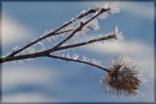 Juha Ahvenharju Photography