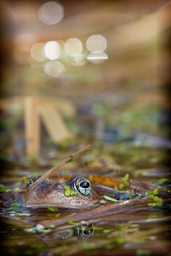 Juha Ahvenharju Photography