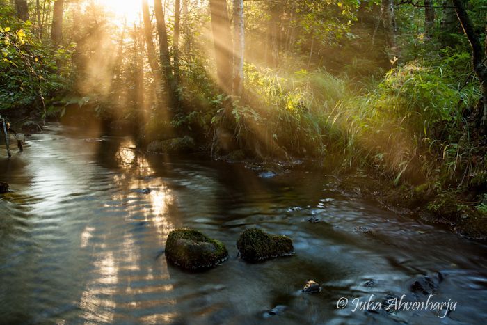 Juha Ahvenharju Photography