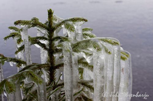 Juha Ahvenharju Photography