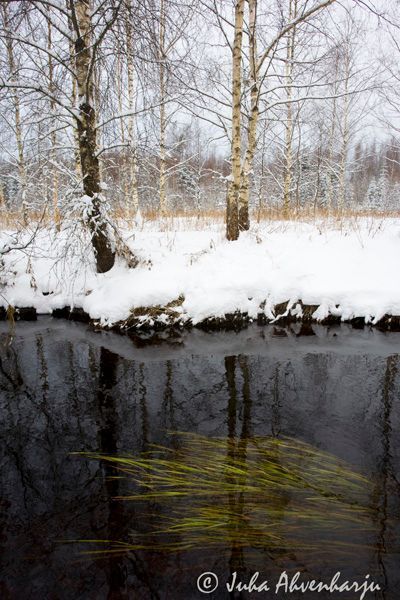 Juha Ahvenharju Photography