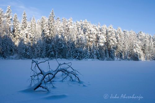 Juha Ahvenharju Photography