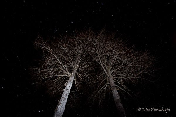 Juha Ahvenharju Photography