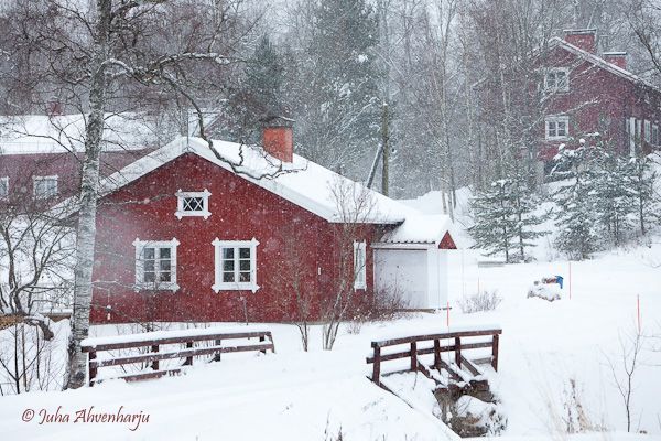 Juha Ahvenharju Photography