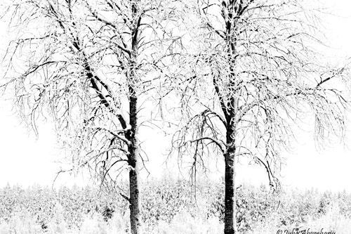 Juha Ahvenharju Photography