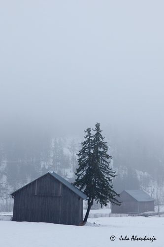 Juha Ahvenharju Photography