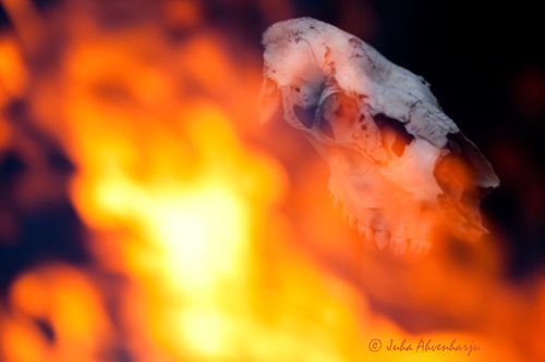 Juha Ahvenharju Photography