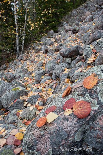 Juha Ahvenharju Photography