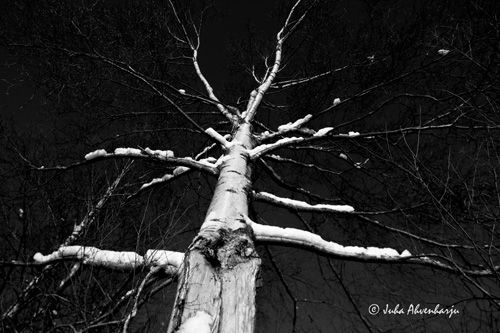 Juha Ahvenharju Photography