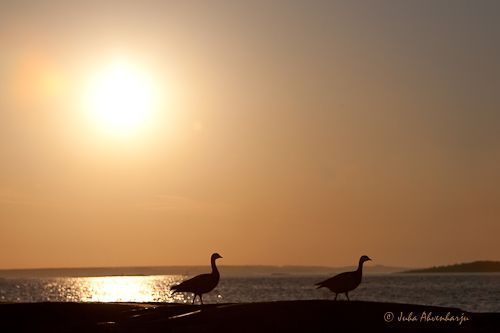 Juha Ahvenharju Photography