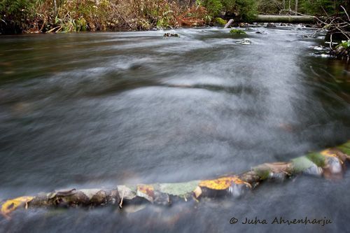 Juha Ahvenharju Photography