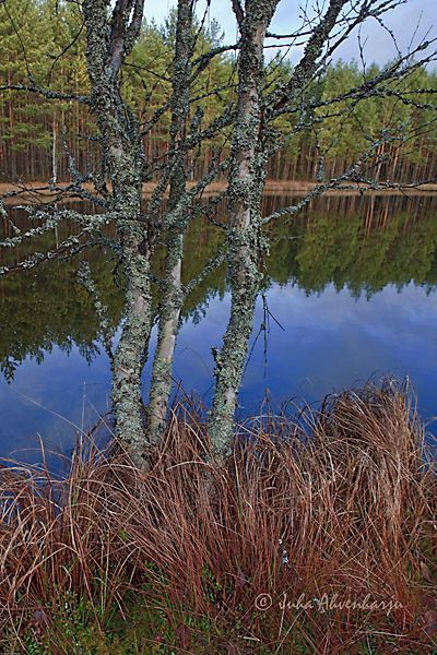 Juha Ahvenharju Photography