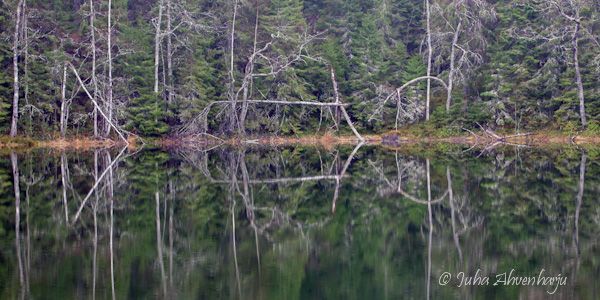 Juha Ahvenharju Photography