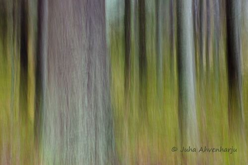 Juha Ahvenharju Photography