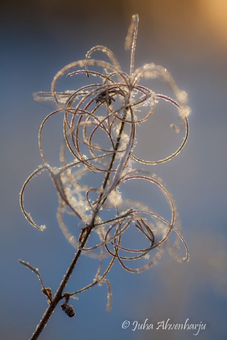 Juha Ahvenharju Photography