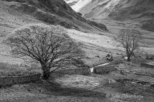 Juha Ahvenharju Photography