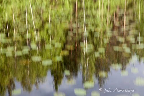 Juha Ahvenharju Photography
