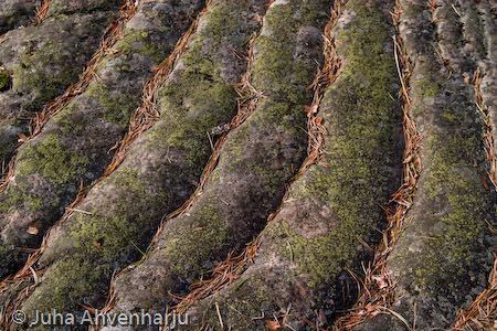 Juha Ahvenharju Photography