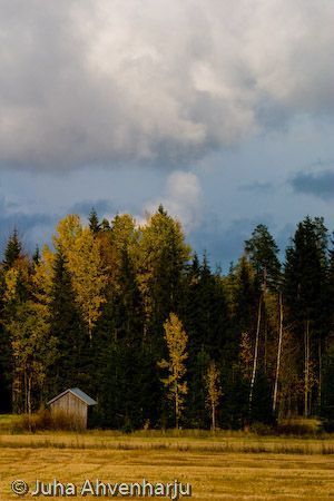 Juha Ahvenharju Photography