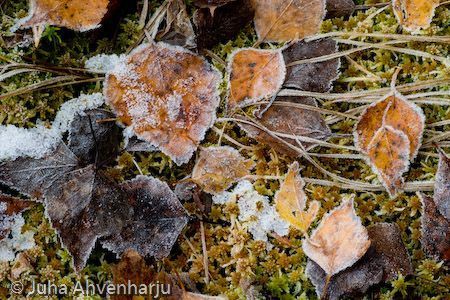 Juha Ahvenharju Photography