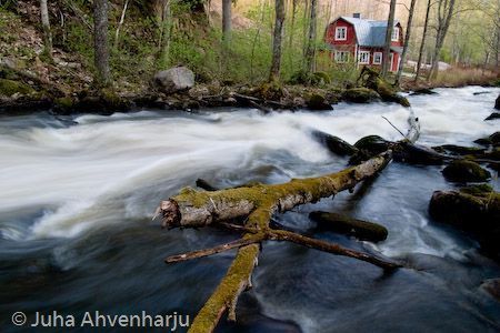 Juha Ahvenharju Photography