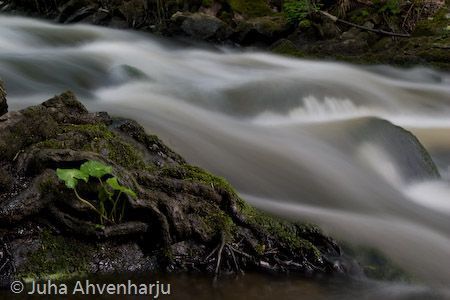 Juha Ahvenharju Photography