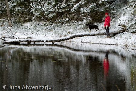 Juha Ahvenharju Photography