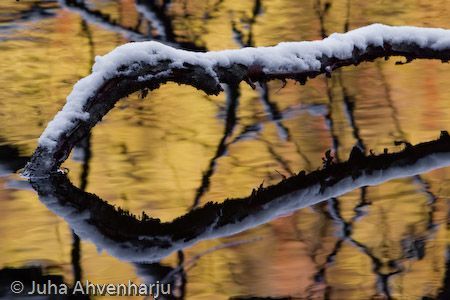 Juha Ahvenharju Photography