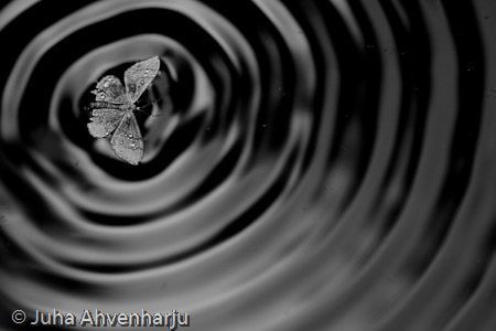 Juha Ahvenharju Photography