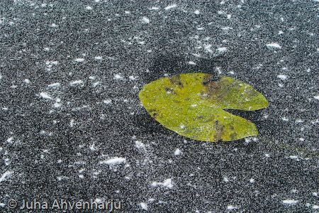 Juha Ahvenharju Photography