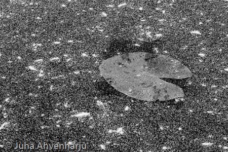 Juha Ahvenharju Photography