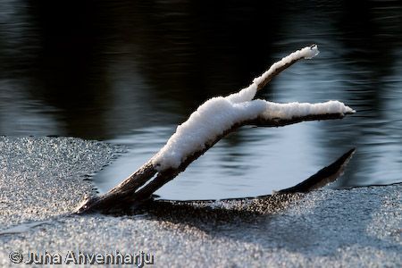 Juha Ahvenharju Photography