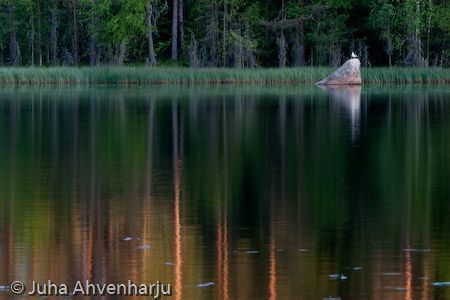 Juha Ahvenharju Photography