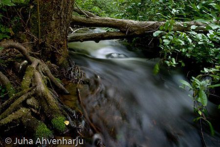 Juha Ahvenharju Photography